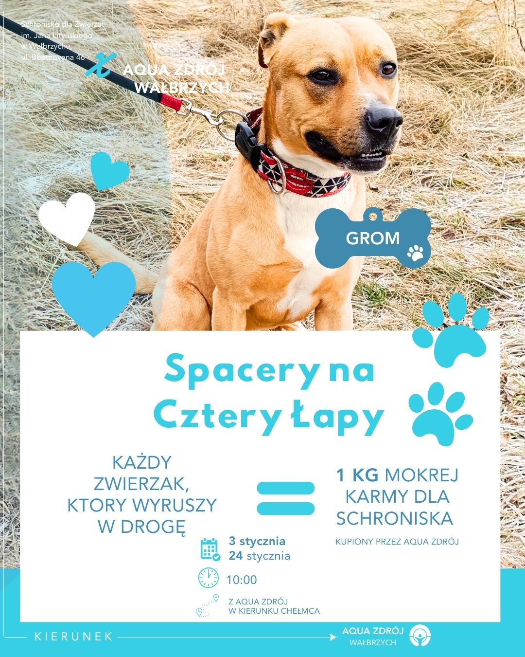 Spacery na Cztery Łapy – styczeń w Aqua Zdroju 🐾