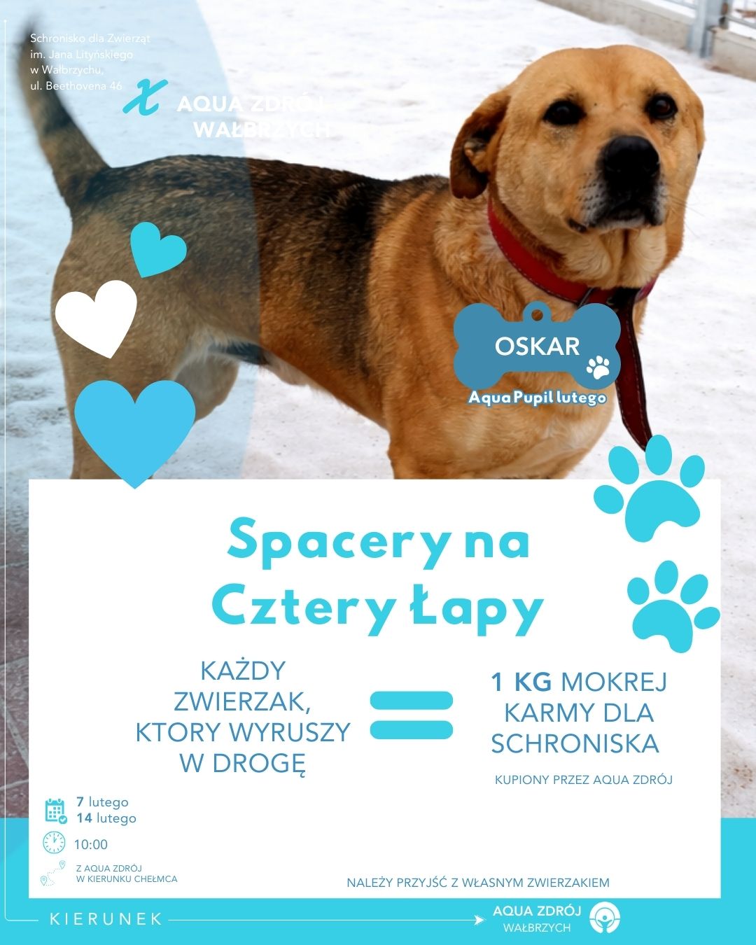 Spacery na Cztery Łapy – luty w Aqua Zdroju 🐾