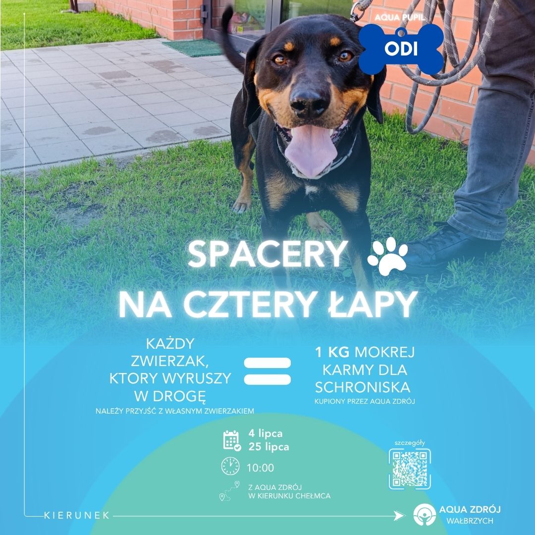 🐾 SPACERY NA CZTERY ŁAPY – LIPIEC