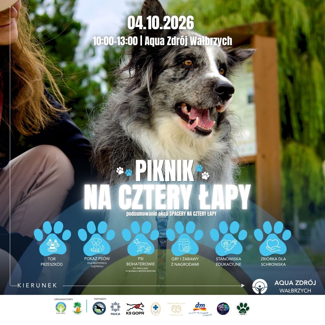 piknik.jpeg